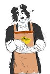 anthro apron apron_only black_body black_fur clothing fur male muscular muscular_male musical_note musical_symbol pecs plate simple_background solo symbol white_body white_fur artxtcy bluey_(series) mackenzie's_dad_(bluey) border_collie canid canine canis collie domestic_dog herding_dog mammal pastoral_dog sheepdog sketch