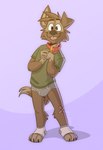 anthro blep briefs brown_body brown_eyes brown_fur brown_nose clothed clothing collar footwear fur green_clothing green_shirt green_t-shirt green_topwear grey_briefs grey_clothing grey_seam_socks grey_underwear male pantsless pantsless_anthro pantsless_male purple_background red_collar shadow shirt simple_background socks solo t-shirt toeless_footwear toeless_socks tongue tongue_out topwear underwear white_clothing white_footwear white_socks tinydeerguy matt_riskely canid canine canis domestic_dog mammal hi_res