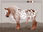 anatomically_correct anatomically_correct_genitalia anatomically_correct_penis animal_genitalia animal_penis balls brown_body brown_eyes brown_fur brown_spots cloud day desolate detailed_background equine_genitalia equine_penis erection feral fetlocks fur genitals half-erect hooves male mane markings medial_ring multicolored_body multicolored_fur overcast penis pink_penis sheath sky solo spots spotted_body spotted_fur vein veiny_penis white_body white_fur white_mane jackira draft_horse equid equine horse mammal digital_media_(artwork) model_sheet watermark