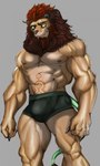 abs anthro bulge clothed clothing green_eyes male mane muscular muscular_anthro muscular_male nipples partially_clothed pecs red_mane solo underwear dagantfus_(artist) anothereidos_of_dragon_vein_r bashkar felid lion mammal pantherine absurd_res hi_res