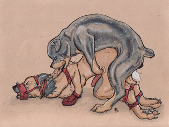 anal anal_penetration animal_genitalia animal_penis anthro anthro_on_feral anthro_penetrated bdsm bestiality bondage bound canine_genitalia canine_penis dominant dominant_male duo erection feral feral_penetrating feral_penetrating_anthro from_behind_position fully_bound genitals interspecies intraspecies intraspecies_bestiality knot male male/male male_on_anthro male_on_feral male_penetrated male_penetrating male_penetrating_male mounting muzzle_(object) muzzled nude penetration penis sex submissive submissive_male mulefoot canid canine mammal 4:3 wallpaper