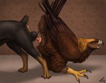anatomically_correct animal_genitalia anus ass_to_ass ass_up avian_butt balls beak brown_body brown_feathers claws cloaca cloacal cloacal_knotting cloacal_penetration feathered_wings feathers feral feral_on_feral genitals interspecies knot_bulge knot_tugging knotting male male/male penetration raised_tail realistic_feral scuted_legs scutes sex tail tail_anus tail_feathers toe_claws wings ferobird windpaw sawyer_(ferobird) accipitrid accipitriform avian bird canid canine canis domestic_dog eagle golden_eagle mammal mastiff molosser rottweiler true_eagle absurd_res hi_res