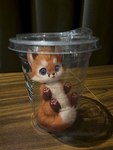 big_eyes big_pupils blep brown_body brown_fur chibi container cup feral fluffy fur furniture in_container in_cup inside looking_at_viewer male orange_body orange_fur paintover pawpads photo_background pink_pawpads pupils real realistic_lighting realistic_shading shadow solo table text tongue tongue_out tuft whiskers silverfox5213 starbucks big_nug canid canine fox mammal red_fox true_fox 2023 3:4 photo_manipulation photography_(artwork) url