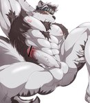 abs accessory anthro anus armpit_hair balls big_penis blush bodily_fluids body_hair canid canine canis censor_bar censored chest_tuft erection fur genitals grey_body grey_fur hand_behind_head headband headband_only hi_res horkeu_kamui_(tas) humanoid_genitalia humanoid_penis ig ineffective_censorship lifewonders looking_at_viewer male mammal mostly_nude muscular muscular_anthro muscular_male nipples nude pecs penis pink_nipples simple_background solo spread_legs spreading sweat sweatdrop tokyo_afterschool_summoners tuft white_background wolf yellow_eyes