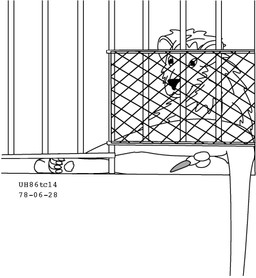 animal_genitalia balls cage erection feral fur genitals looking_at_viewer lying male mane paws penis sheath simple_background solo tail white_background urbanhermit felid lion mammal pantherine 1978 20th_century ancient_art black_and_white dated low_res monochrome