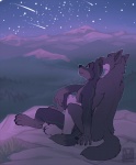 anthro duo fur male male/male meteor_storm mountain night outline outside romantic romantic_ambiance romantic_couple sky star starry_sky tail vallhound canid canine canis mammal wolf digital_media_(artwork)