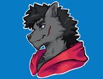 anthro black_hair blue_eyes clothing dark_body dark_fur dark_hair eyebrows fur grey_body hair male markings red_clothing red_topwear smile solo topwear dynogreeno canid canine mammal hi_res