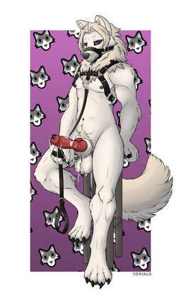 animal_genitalia animal_penis anthro athletic balls big_balls big_penis black_nipples bodily_fluids canine_genitalia canine_penis chair chest_harness chest_tuft claws cum cum_string emoji fluffy fluffy_tail fur furniture genital_fluids genitals hair harness knot leash leather leather_harness looking_at_viewer male mane moobs multicolored_body muscular muzzle_(object) nipples on_chair paws penis purple_eyes simple_background sitting sitting_on_chair solo tail tan_body tan_fur three-quarter_view tuft two_tone_body white_body white_fur ydrials ydrials_(ydrials) canid canine canis mammal wolf 3:5 absurd_res hi_res