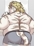 anthro belly big_belly brush brushing brushing_teeth butt clothing humanoid_hands kemono male overweight overweight_male solo underwear white_body ptcmtr lifewonders tokyo_afterschool_summoners licho_(tas) felid mammal pantherine tiger 2022 hi_res