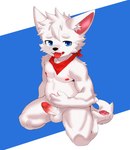 anthro black_nose blue_eyes fur genitals male male/male nipples pawpads paws penis pink_body pink_fur red_neckwear slightly_chubby solo tail teeth tongue tongue_out white_body white_fur young monamacro canid canine mammal absurd_res hi_res