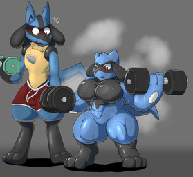 abs anthro biceps big_muscles blue_body blue_fur blush bodily_fluids clothing duo exercise feet fur growth hair huge_muscles hyper hyper_muscles male musclegut muscular muscular_anthro muscular_male nude open_mouth pecs simple_background size_difference sweat teeth toes weightlifting workout vezerem nintendo pokemon canid canine generation_4_pokemon lucario mammal pokemon_(species) riolu hi_res