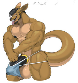 accessory anthro balls beard big_balls big_muscles big_pecs big_penis black_beard black_facial_hair black_hair black_nipples black_penis clothing cock_ring ear_piercing facial_hair genitals hair huge_penis jewelry long_tail looking_at_viewer male muscular nipple_piercing nipples open_mouth pecs penis penis_accessory penis_jewelry piercing simple_background solo tail tongue tongue_out underwear vein veiny_penis white_background yellow_body vexedlupine seff_(dissimulated) kangaroo macropod mammal marsupial 2025