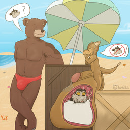 anthro beach bodily_fluids cock_vore genital_fluids genitals group internal leaking_precum male male/male outside penile penis precum safe_vore trio vore karamelkobold karamel_kobold marvin_cantoburi american_opossum bear kobold mammal marsupial scalie 1:1 pictographics