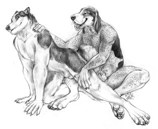 4_toes 5_fingers all_fours animal_genitalia anthro balls claws duo eyes_closed feet finger_claws fingers floppy_ears fully_sheathed fur genitals hand_on_shoulder male male/male nude nude_anthro nude_male pawpads paws penis penis_tip pointy_ears prick_ears sheath simple_background sitting spots tail toe_claws toes tongue tongue_out whiskers white_background blotch scratches_volume_4 basset_hound canid canine canis domestic_dog hunting_dog husky mammal nordic_sled_dog scent_hound spitz 2010 monochrome traditional_media_(artwork)