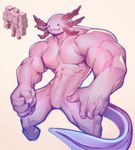 anthro blush blush_stickers cursed_image featureless_crotch male muscular muscular_anthro muscular_male nails pink_body simple_eyes simple_face solo tail holo_eden microsoft minecraft mojang xbox_game_studios amphibian axolotl axolotl_(minecraft) marine mole_salamander salamander 2021 hi_res