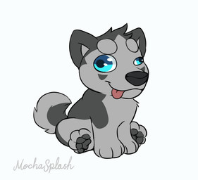 ambiguous_form ambiguous_gender big_eyes black_nose blinking blue_eyes derp_eyes feral fur grey_body grey_fur hair head_tuft pawpads paws sitting smile solo staggered_blinking tail tongue tongue_out tuft mochasplash kudo akita canid canine canis domestic_dog husky mammal nordic_sled_dog spitz animated digital_media_(artwork)
