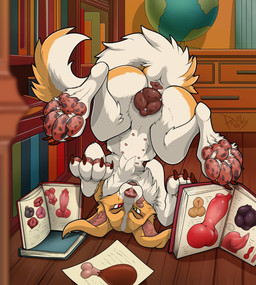 animal_genitalia animal_vulva canine_genitalia canine_vulva feet female feral foot_fetish genitals library pawpads paws solo upside_down vulva pawzzhky canid canine canis domestic_dog mammal hi_res
