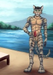 abs animal_genitalia anthro athletic balls biped black_hair blush bodily_fluids erection fangs front_view fur genital_fluids genitals green_eyes hair hands_on_hips lake looking_at_viewer male mountain muscular muscular_anthro nipples nude outside pecs penis pink_nipples precum short_hair smile solo standing stripes teeth water whiskers jc_(artist) felid mammal 2010