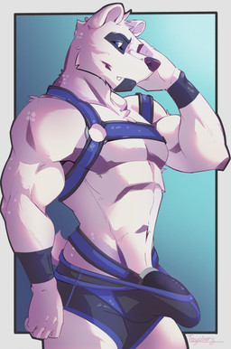 anthro belt briefs clothing dildo harness male sex_toy solo strapon underwear harleo bear mammal polar_bear ursine absurd_res hi_res