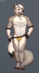 4_toes 5_fingers anthro bulge claws clothing collar ear_piercing feet fingers fluffy fur grey_body grey_fur hair jockstrap long_tail male piercing simple_background smile smiling_at_viewer smirk smirking_at_viewer solo standing tail toes underwear undressing white_body white_fur white_hair yellow_claws yellow_clothing yellow_collar yellow_jockstrap yellow_underwear snaftfc canid canine canis mammal wolf absurd_res hi_res