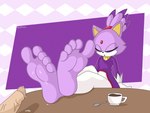 5_toes anthro barefoot beverage bodily_fluids clothed clothing container cum cum_on_feet cup duo feet female foot_fetish genital_fluids genitals humanoid_genitalia humanoid_penis male penis purple_body sleeping soles tea tea_cup toes vein veiny_penis burtreex sega sonic_the_hedgehog_(series) blaze_the_cat domestic_cat felid feline felis human mammal hi_res