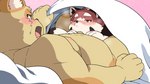 anthro bed bedding blanket blush duo furniture genitals humanoid_hands kemono lying male moobs nipples oral overweight overweight_male penis dokyudokyu1 ailurid mammal red_panda 16:9 2022 hi_res widescreen