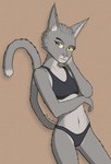 anthro bra breasts clothing countershading eyebrows female female_anthro fur grey_body grey_fur looking_at_viewer multicolored_body multicolored_fur navel nude simple_background small_breasts smile solo standing tail thong tight_clothing underwear yellow_eyes johndoe8771 sylvania_(johndoe8771) felid feline mammal absurd_res colored digital_drawing_(artwork) digital_media_(artwork) hi_res shaded