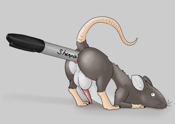 anal anal_penetration anus backsack balls bodily_fluids feral genitals large_penetration male penetration penis raised_tail solo tail tears tiny_terrible mammal murid murine rat rodent
