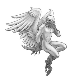 4_toes 5_fingers ambiguous_gender anisodactyl anthro avian_feet beak biped cheek_tuft crotch_tuft facial_tuft feathered_wings feathers featureless_crotch feet fingers hand_on_beak navel neck_tuft nude pose rictal_bristles simple_background sitting smile solo tail tail_feathers talons toes tuft white_background white_body white_feathers wings tertia_decima danjil_olivaw avian bird corvid corvus_(genus) oscine passerine raven absurd_res greyscale hi_res monochrome male_(lore)