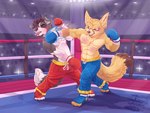 absurd_res anthro beard boxing boxing_gloves canid canine canis clothed clothing domestic_dog duo facial_hair fight fighting_ring fox handwear hi_res male mammal sport tongue tongue_out tonydunkel topless