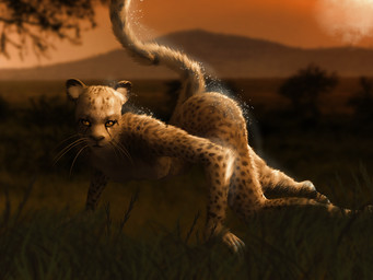 all_fours amber_eyes anthro ass_up breasts female fur looking_at_viewer nude outside raised_tail solo spots sunset tail whiskers yellow_body yellow_fur hattonslayden kota_(hattonslayden) cheetah felid feline mammal 4:3