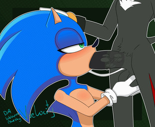 anthro ball_fondling balls balls_deep deep_throat duo fellatio fondling genitals male male/male neck_bulge oral oral_penetration penetration penile sex vvelocity sega sonic_the_hedgehog_(series) shadow_the_hedgehog sonic_the_hedgehog animated hi_res