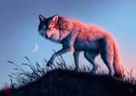 ambiguous_gender black_body black_fur detailed_fur feral fluffy fur grass light moon outside plant realistic_lighting realistic_shading sky solo white_body white_fur kippycube canid canine canis mammal wolf 2019 detailed lighting