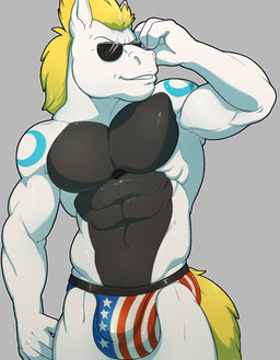 abs american_flag anthro big_bulge bulge clothed clothing cocky eyewear featureless_chest flag flag_clothing flag_print flag_underwear grey_background grin male manly muscular muscular_anthro muscular_male patriotic_clothing print_clothing print_underwear serratus simple_background smile solo sunglasses underwear united_states_of_america v-cut knuxlight equid equine horse mammal hi_res source_request