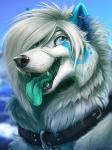 blue_insides blue_tongue collar ear_piercing female feral fur hair open_mouth piercing smile solo tongue white_body white_fur white_hair ifus ifus_(character) canid canine canis mammal wolf 2014 3:4 detailed digital_media_(artwork) digital_painting_(artwork)