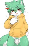 4_fingers anthro balls biped black_nose blush blush_lines bodily_fluids bottomless bottomless_anthro bottomless_male cheek_tuft clothed clothed_anthro clothed_male clothing drawstring drawstring_topwear eyebrows facial_tuft fingers flaccid fluffy fluffy_tail fur genitals green_body green_ears green_fur green_hair green_pubes green_tail hair half-closed_eyes highlights_(coloring) hoodie hoodie_only looking_at_viewer male male_anthro multicolored_body multicolored_fur multicolored_tail narrowed_eyes open_mouth penis pubes red_highlights simple_background solo sweat tail topwear topwear_only tuft white_background white_balls white_body white_eyebrows white_fur white_inner_ear white_penis white_tail yellow_clothing yellow_hoodie yellow_topwear young young_anthro young_male shouka_2810 canid canine canis mammal wolf 2025 digital_media_(artwork) hi_res