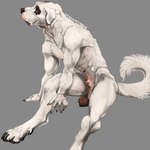 1:1 animal_genitalia anthro arm_on_floor arm_tuft balls belly big_balls big_feet black_balls black_claws black_markings canid canine canis cheek_tuft claws domestic_dog facial_tuft feet fluffy fluffy_tail fur genitals hi_res jenklin_(character) kangal livestock_guardian_dog looking_at_viewer male mammal markings molosser mountain_dog muscular muscular_male neck_tuft nude pastoral_dog penis penis_tip pink_paws pink_sheath saggy_balls sheath simple_background sitting solo spots spotted_belly tail tasteful_nudity tuft venlightchaser white_body white_fur