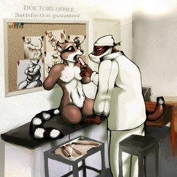 4_missing_limbs amputee andromorph anthro anthro_on_anthro clothed clothed/nude clothing disability doctor doctor's_office duo examination examination_table furniture genitals high-angle_view intersex male markings medical medical_examination nude on_table patient quadruple_amputee ring_(marking) ringed_tail sitting standing striped_markings striped_tail stripes table tail tail_markings tongue_depressor vulva hellodoctor mammal procyonid raccoon 1:1