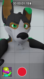 3d_(artwork) 3d_animation 9:16 abdominal_bulge animated ante_(ante_flan) ante_flan anthro belly big_belly camera_view canid canine canis coyote digital_media_(artwork) domestic_dog duo electronics hi_res holding_object holding_phone long_playtime male male_focus mammal no_sound offscreen_character phone phone_view recording solo_focus vore webm zuel