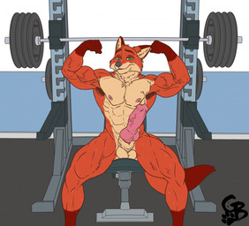 abs animal_genitalia animal_penis anthro armpit_hair balls bench_press biceps big_penis bodily_fluids body_hair canine_genitalia canine_penis erection exercise flexing genitals gym knot male muscular muscular_anthro muscular_legs muscular_male nude pecs penis sheath solo sweat vein veiny_muscles weightlifting weights workout goldeyboi disney zootopia nick_wilde canid canine fox mammal red_fox true_fox