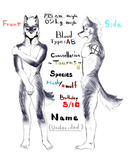 anthro athletic athletic_anthro athletic_male biped black_body black_fur fur green_eyes male nude_anthro nude_male solo standing text white_body white_fur cyanusowo canid canine canis mammal wolf 2019 english_text hi_res model_sheet