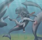 2014 anal anal_penetration animal_genitalia anthro anthro_on_feral anus balls bestiality blue_penis canine canine_penis cetacean cum cum_in_ass cum_inside dog dolphin erection feral from_behind gay genital_slit handjob interspecies knot koba male mammal marine nude penetration penis sex slit tapering_penis underwater water
Rating: Explicit
Score: 22
User: tony311
Date: April 20, 2014