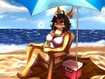 3_toes 5_fingers anthro beach beverage black_hair brown_body brown_fur chair cheek_tuft chest_tuft clothing cloud cooler facial_tuft feet female fingers fur fur_markings furniture hair long_hair markings mature_female one-piece_swimsuit pink_nose purple_eyes sand seaside sky solo summer sun swimwear toes tuft umbrella caliluminos janice_flynn lagomorph leporid mammal rabbit 2020 4:3 hi_res painting_(artwork) signature