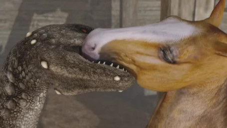 ambiguous/ambiguous ambiguous_feral ambiguous_gender belly detailed_background duo feral feral_on_feral french_kissing interspecies kissing markings moan realistic_feral scales tan_body tan_ears tan_head tan_skin teeth tongue white_markings white_nose trioami260 mythology dragon equid equine horse mammal mythological_creature mythological_scalie reptile scalie 2021 3d_(artwork) 3d_animation animated digital_media_(artwork) loop short_playtime sound video widescreen