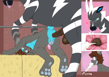 all_fours anal anal_penetration animal_genitalia animal_penis anthro anthro_on_feral anthro_penetrated anus backsack ball_size_difference balls bestiality blue_body blue_fur blush bodily_fluids brown_balls brown_penis cum cum_from_mouth cum_in_mouth cum_inside cum_through cum_vomit digit_ring duo ejaculation equine_genitalia equine_penis erection feet feral feral_penetrating feral_penetrating_anthro flared_penis foreskin fur genital_fluids genitals grey_body grey_fur hay heart_symbol hooves humanoid_genitalia humanoid_penis internal internal_anal interspecies jewelry larger_feral larger_male looking_pleasured male male/male male_penetrated male_penetrating male_penetrating_male medial_ring partially_retracted_foreskin paws penetration penile penile_penetration penis penis_in_ass penis_size_difference pokephilia quadruped ring saliva sex size_difference smaller_anthro smaller_male smaller_penetrated stripes surprised toe_ring toes vein veiny_penis mr_fuwa nintendo pokemon equid equine generation_5_pokemon lagomorph leporid mammal pokemon_(species) rabbit zebra zebstrika absurd_res hi_res