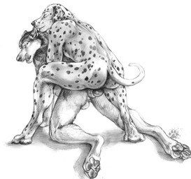 all_fours anal anal_penetration anthro backsack balls butt claws doggystyle duo eyes_closed floppy_ears from_behind_position fur genitals knot knotted_penis licking licking_lips looking_at_another looking_at_partner looking_back looking_back_at_another looking_back_at_partner male male/male pawpads paws penetration penile penile_penetration penis penis_in_ass pointy_ears prick_ears rear_view sex simple_background spots tail toe_claws tongue tongue_out white_background blotch scratches_volume_4 canid canine canis dalmatian domestic_dog husky mammal nordic_sled_dog spitz 2010 traditional_media_(artwork)