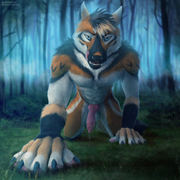 all_fours animal_genitalia animal_penis anthro black_body black_fur blue_eyes bodily_fluids canine_genitalia canine_penis erection forest forest_background fur genital_fluids genitals knot licking licking_lips licking_own_lips looking_at_viewer male male_anthro multicolored_body multicolored_fur nature nature_background orange_body orange_fur outside penis plant precum seductive self_lick solo text tongue tongue_out tree whiskers white_body white_fur virtyalfobo caiuslupus canid canine mammal maned_wolf 1:1 2021 hi_res url nonbinary_(lore)