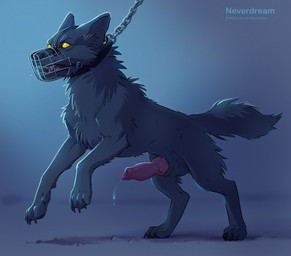anatomically_correct anatomically_correct_genitalia anatomically_correct_penis animal_genitalia animal_penis balls bared_teeth bodily_fluids canine_genitalia canine_penis claws collar collar_only digitigrade dripping erection fangs feral finger_claws fur genital_fluids genitals knot leash male muzzle_(object) muzzled nude pawpads penis precum precum_drip quadruped simple_background solo teeth toe_claws wire_basket_muzzle yellow_eyes neverdream canid canine canis mammal wolf digital_media_(artwork) shaded signature