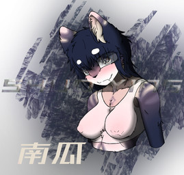 bra breasts chest_tuft clothing erect_nipples female looking_at_viewer medium_breasts nipples pose solo text tuft underwear shuoying canid canine fox mammal 2026 artist_name bust_portrait character_name colored digital_drawing_(artwork) digital_media_(artwork) portrait