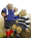 anthro bottomwear brown_body brown_fur clothing duo fur humanoid_hands kemono male overweight overweight_male rugby shirt shorts sitting topwear towel hasukichi canid canine canis domestic_dog mammal 2010